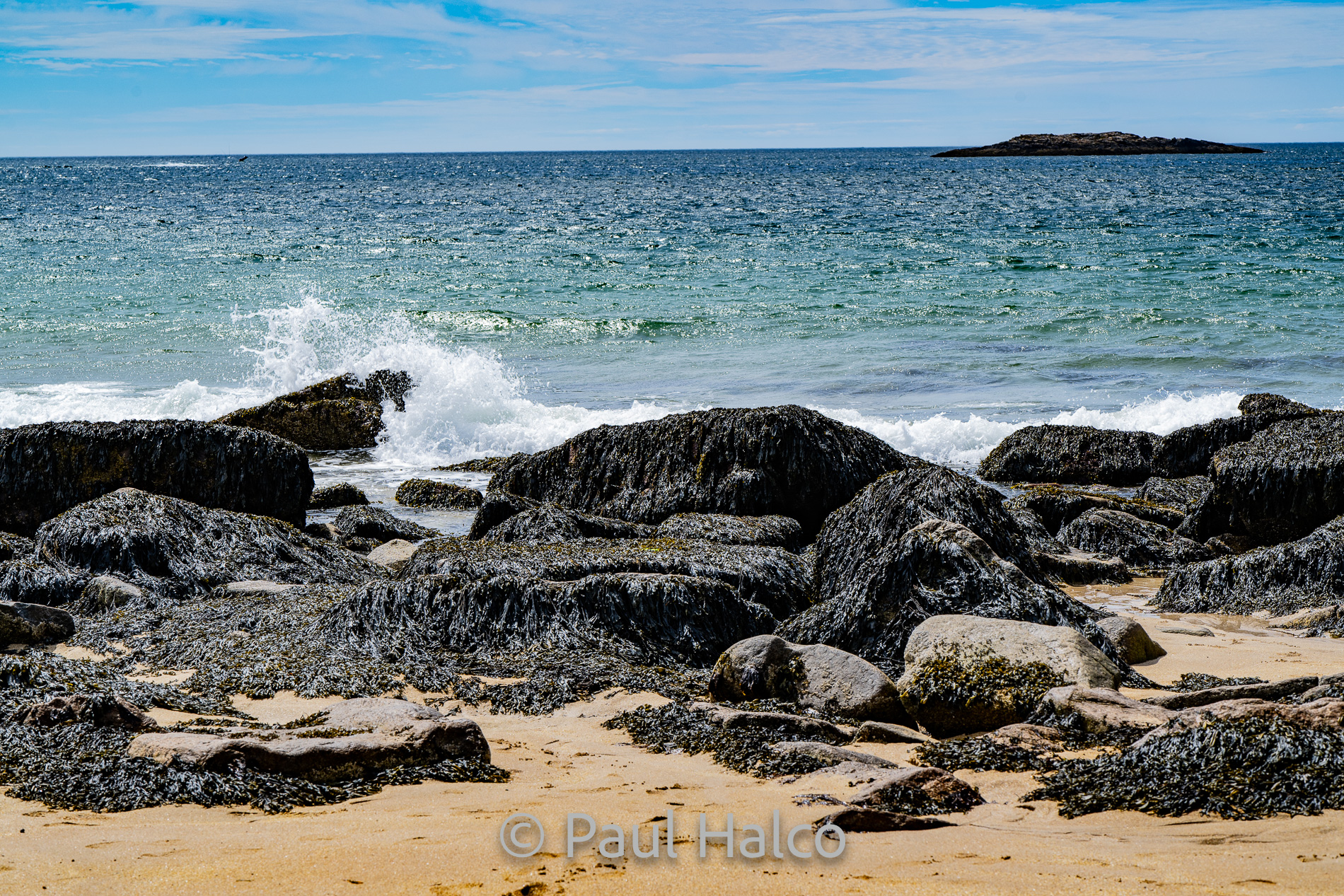 Paul Halco-Acadia NP-4